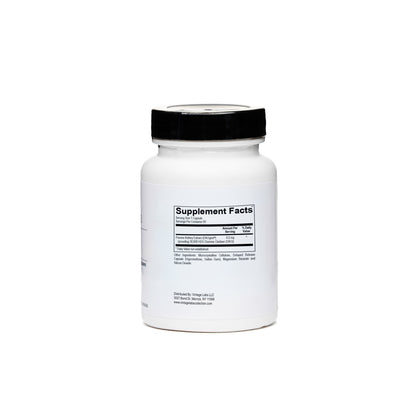 DAO Enzyme Support